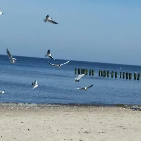 公寓 Nr 19 Dziwnówek