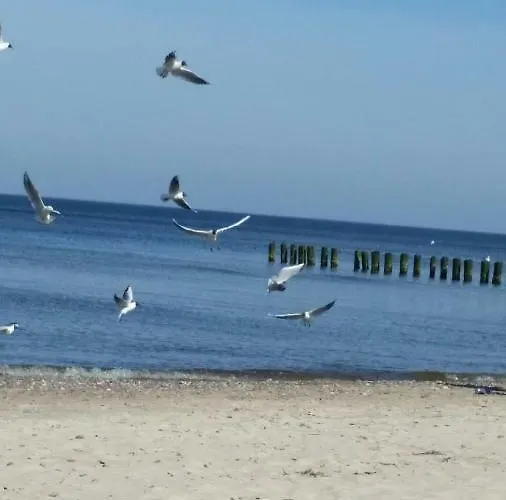 Apartment Nr 19 Dziwnowek